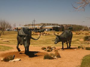 National Ranching Heritage Center